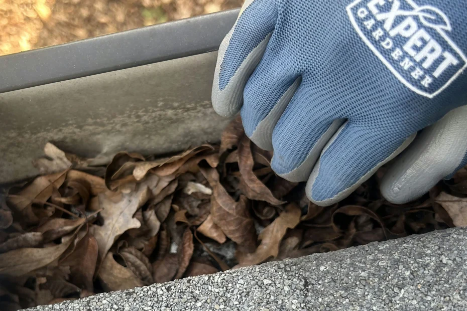 Gutter Cleaning Wards Corner